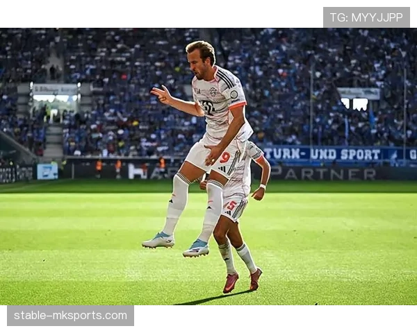 本泽马与哈里·凯恩的进攻效率差异：战术角色如何塑造终结表现